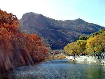 澳门天天免费精准大全，青田seo排名